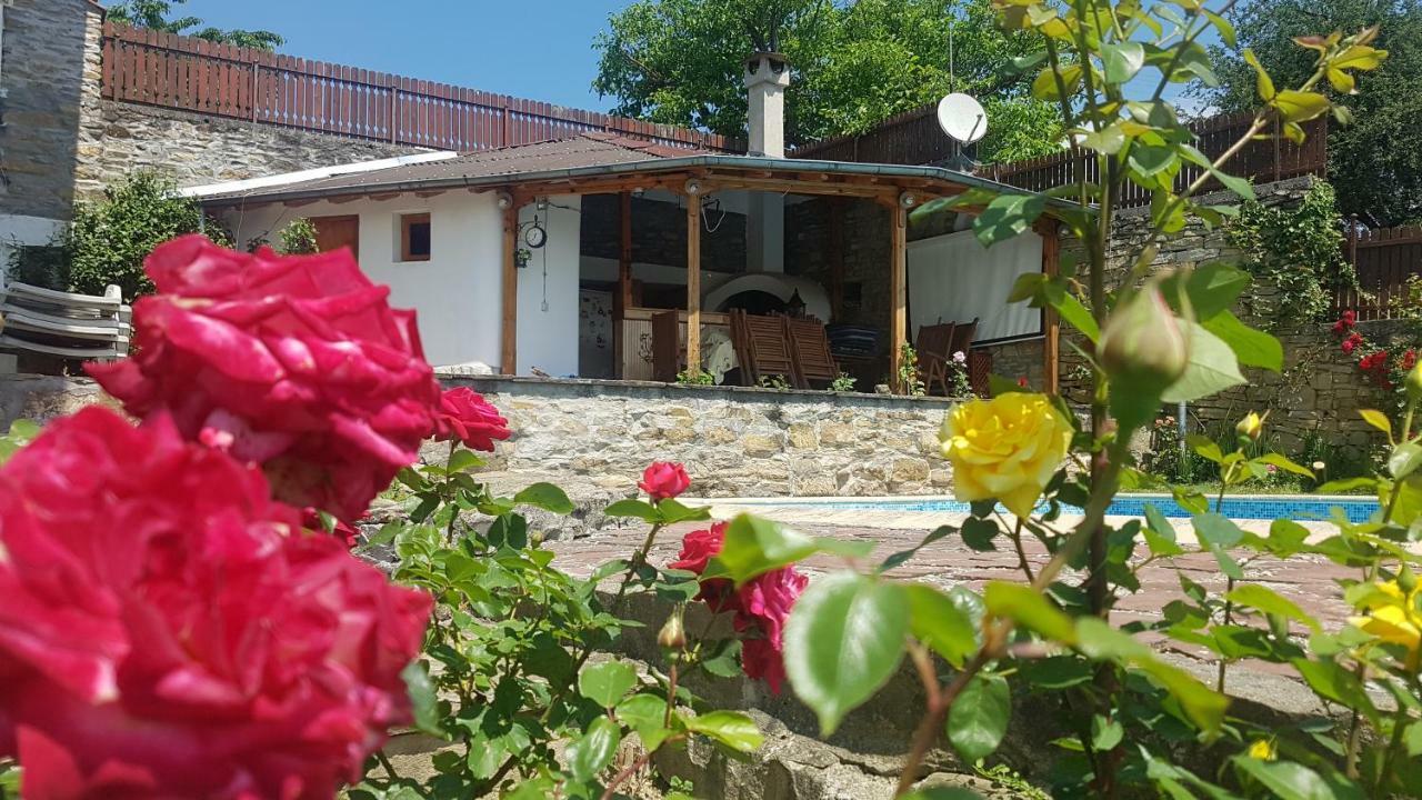 Rosarium Residence Guest House Dreanovo Exterior foto