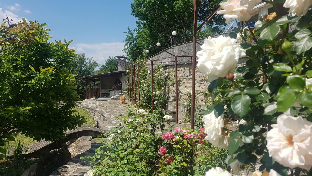 Rosarium Residence Guest House Dreanovo Exterior foto